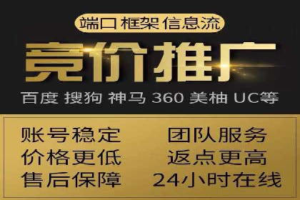 SEM代运营案例分析：精准投放策略解析